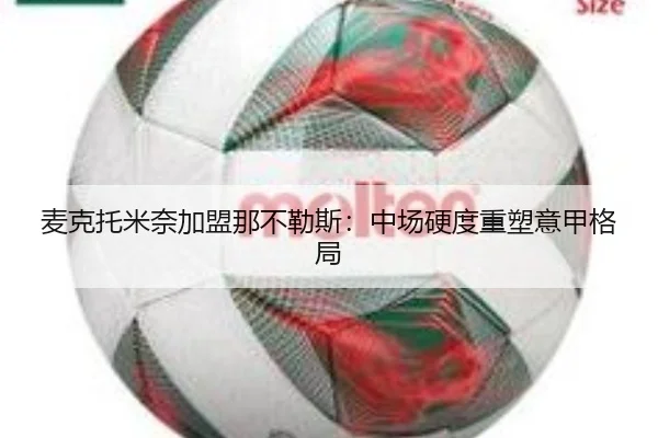 mai-ke-tuo-mi-nai-jia-meng-na-bu-le-si-zhong-chang-ying-du-zhong-su-yi-jia-ge-ju-2-347.jpg