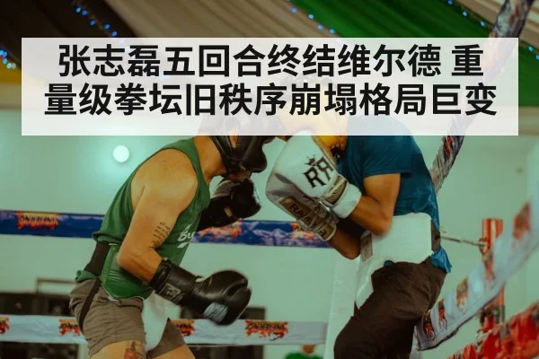 张志磊五回合终结维尔德 重量级拳坛旧秩序崩塌格局巨变